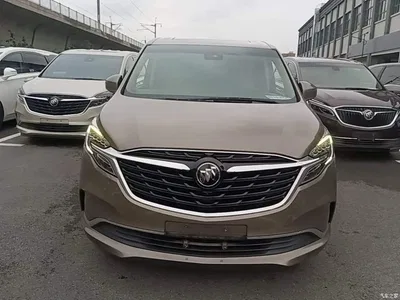 2021 Buick GL8 ES Landlord 653T Luxury, фото 3, лот 11213138