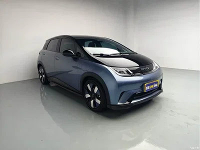 2023 Byd Dolphin, фото 3, лот 10243657