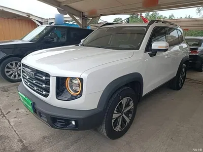 2021 Haval Big Dog 1.5T DCT 2WD Labrador Edition, фото 2, лот 10361512