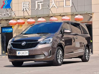 2021 Buick GL8 Land Business Class 652T Smart Luxury, фото 1, лот 10475960