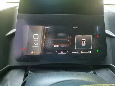 2021 Haval Big Dog 2.0T DCT 4WD Chinese Rural Dog Edition, фото 4, лот 10361256