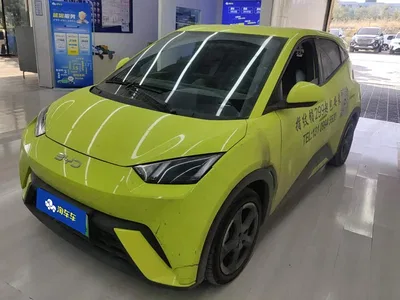 2023 BYD Seagull Flying Edition, фото 1, лот 10598249