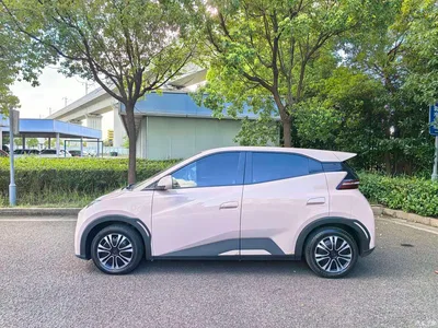 2024 BYD Seagull Glory Edition 305km Vitality Edition, фото 4, лот 10246236