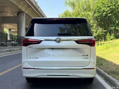 2020 Buick GL8 Model ES Landglory 653T Comfort, фото 3, лот 10253976