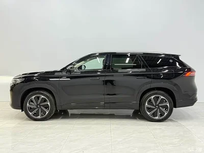 2024 Chery Fengyun T10 210 Luxury Edition, фото 3, лот 11153858