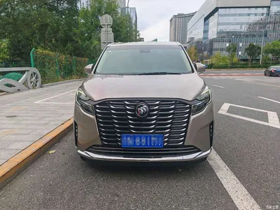 2023 Buick GL8 ES Landmaster Exclusive, фото 2, лот 11242831