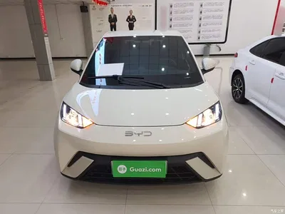 2024 BYD Seagull Glory Edition 305km Vitality Edition, фото 3, лот 10262748
