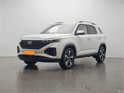 2021 Hyundai Beijing Hyundai ix35 2.0L Automatic 2WD GLS Leading Edition, фото 1, лот 10395123