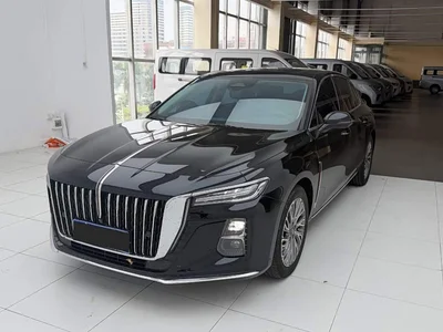 2023 Hongqi H5 2.0T Auto Smart Connect Flag Comfort, фото 1, лот 10393118