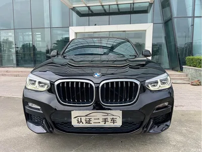 2019 BMW X4 xDrive25i M Sport Package, фото 2, лот 11074400