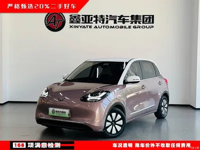 2023 Wuling Motors Wuling Bingo 333km Smart Connectivity Edition, фото 1, лот 10367049