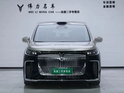 2025 Voyah Auto Voyah Dreamer Model PHEV Basic Version, фото 2, лот 10482233