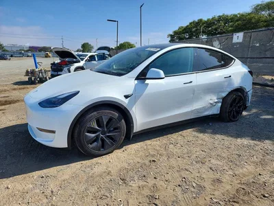 2025 TESLA MODEL Y, фото 1, лот 10676990