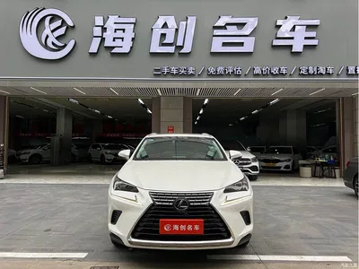 2017 Lexus NX 300 AWD Sharp Style Edition, фото 3, лот 10318973