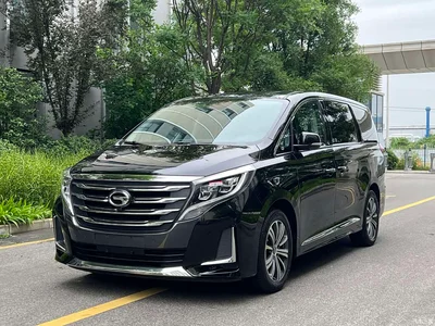 2020 GAC Trumpchi Trumpchi M8 Pilot 390T Prestige Edition, фото 1, лот 10416707