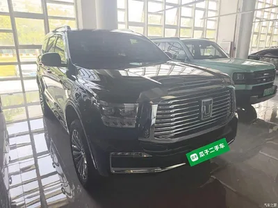 2024 Tank 500 EV Hi4-T, фото 4, лот 11132529