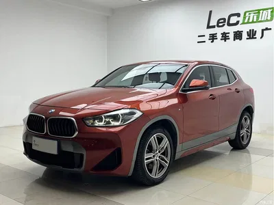 2020 BMW X2 sDrive25i Leading M Sport Package, фото 2, лот 10428993