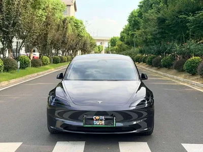 2023 Tesla Model 3 Rear-Wheel Drive, фото 2, лот 10355295