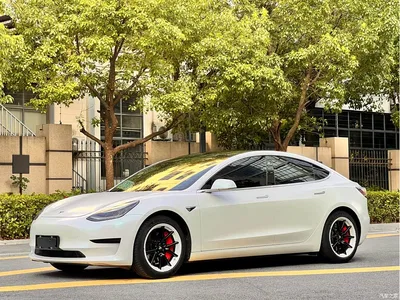 2020 Tesla Model 3 Facelift Standard Range RWD Upgrade, фото 1, лот 10353699