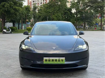 2023 Tesla Model 3 Long Range All-Wheel Drive, фото 2, лот 11570155