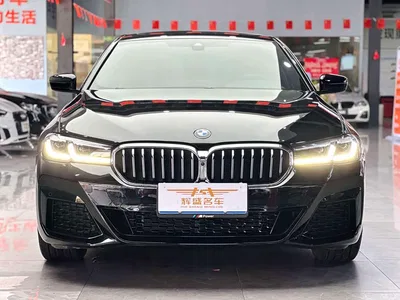 2022 BMW 5 Series Facelift II 530Li Premium Package M Sport, фото 2, лот 11207355
