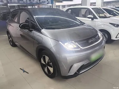 2021 BYD Dolphin 405km Freedom Edition, фото 4, лот 10260226