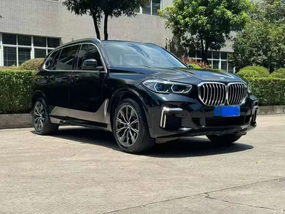 2022 BMW X5 Facelift xDrive 30Li Premium M Sport Package, фото 3, лот 10398424
