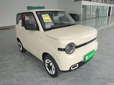 2025 Geely Galaxy Panda mini 210km Vitality Bear, фото 4, лот 10433324