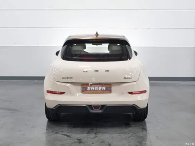 2022 Ora Good Cat Model Morandi Edition 400km Standard Range Luxury NCM, фото 4, лот 10332256