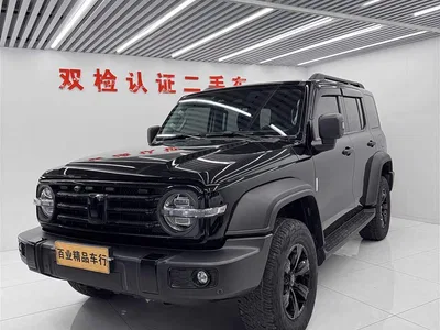 2021 Tank 300 Off-road Version 2.0T Conqueror, фото 1, лот 11224226