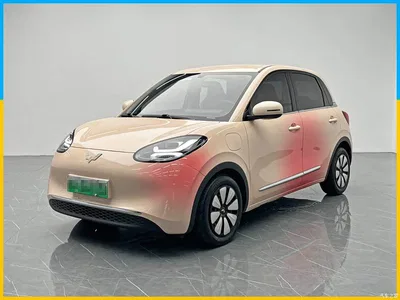 2024 Wuling Motors Wuling Bingo 333km Comfort Edition, фото 1, лот 10357769