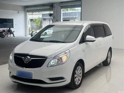2018 Buick GL8 28T Comfort China VI, фото 1, лот 10262325