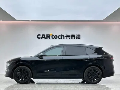 2025 ZEEKR 7X Model 75kWh RWD Smart Driving Edition, фото 2, лот 10305506
