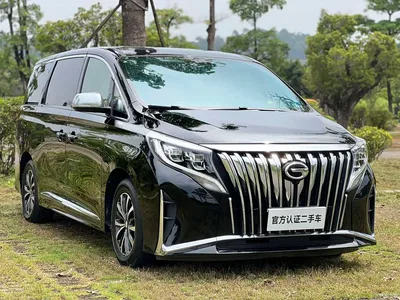 2023 GAC Trumpchi Trumpchi M8 Leading Series 390T Premium Edition, фото 3, лот 11081982