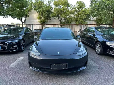 2020 Tesla Model 3 Standard Range Rear-Wheel Drive Upgrade, фото 1, лот 10346087
