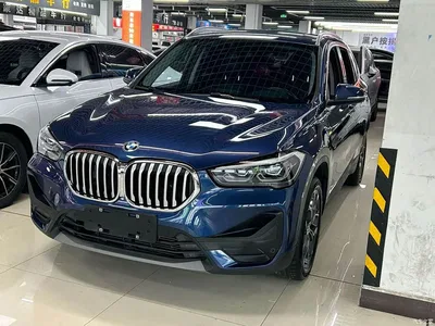 2020 BMW X1 sDrive25Li Leading Model, фото 1, лот 11438101