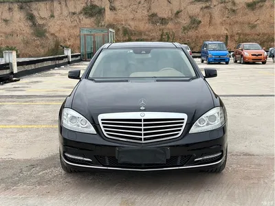 2010 Mercedes-Benz S-Class S 300 L Luxury, фото 2, лот 10269467