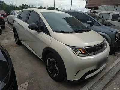 2025 BYD Dolphin 420km Vitality Edition, фото 4, лот 10264151