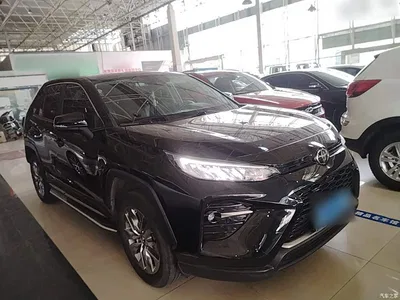 2021 Toyota Wildlander 2.0L CVT 2WD Luxury Edition, фото 4, лот 11199430