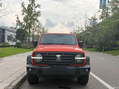 2023 Tank 300 Off-Road Edition 2.0T Conqueror, фото 2, лот 10684160
