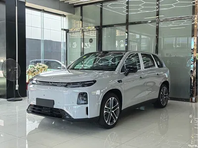 2027 Leapmotor C10, фото 1, лот 11492618