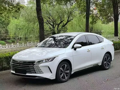 2024 BYD Destroyer 05 Glory Edition DM-i 120KM Luxury, фото 1, лот 10249903