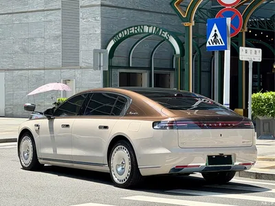 2025 Zunjie S800 Pure Electric Starlight Executive 4-seater, фото 4, лот 10392762