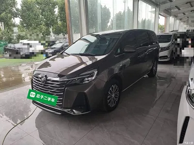 2023 Buick GL8 Model Land Business Class Smart, фото 2, лот 10258992