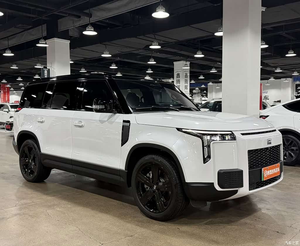 2024 ROX Jishi Extreme Stone 01 All-round 7-seater Long Range, фото 3, лот 11213161
