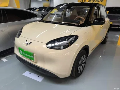 2025 Wuling Motors Wuling Bingo Model 333km Joy Edition, фото 1, лот 10375618