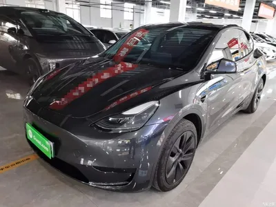 2024 Tesla Model Y Rear-Wheel Drive Version, фото 1, лот 10381145