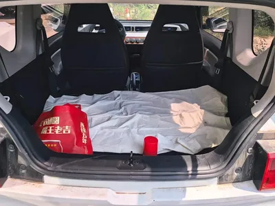 2020 Wuling Motors Hongguang MINIEV Freedom Edition (LFP Battery), фото 4, лот 10367303