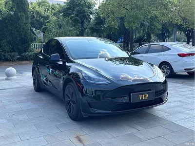 2023 Tesla Model Y Rear-Wheel Drive Edition, фото 3, лот 10662931