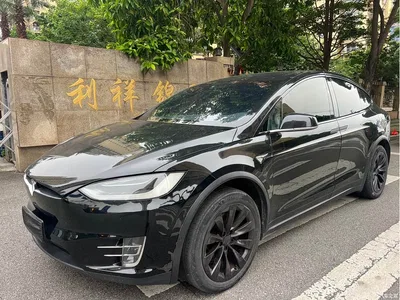 2016 Tesla Model X 75D, фото 1, лот 10358820